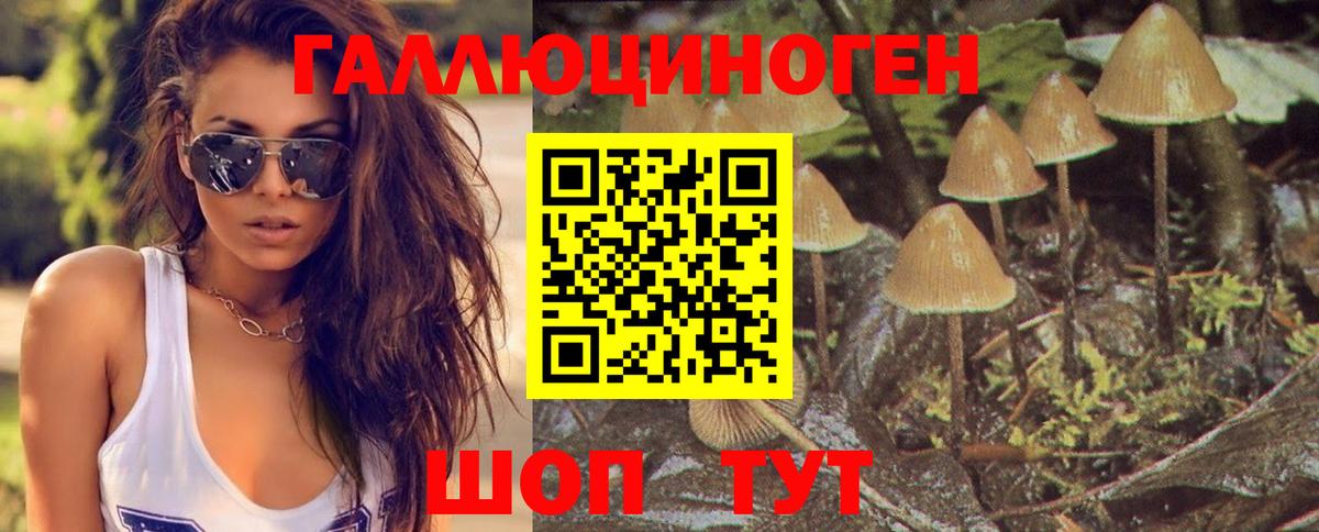 Галлюциногенные грибы Cubensis Уварово